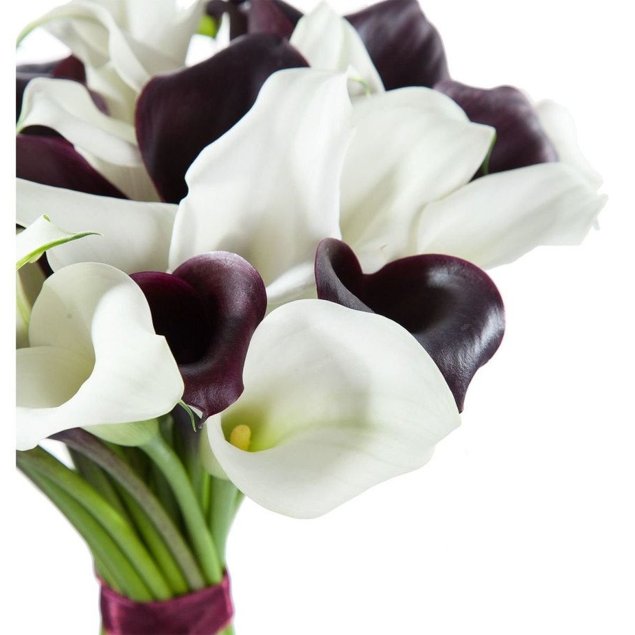 Калла (Зантедеския) микс