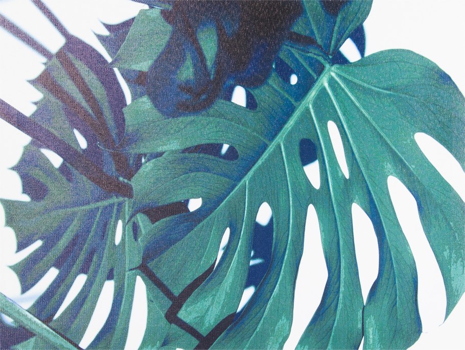 Тропические пальмовые листья фон