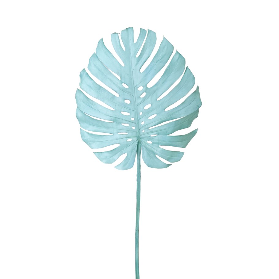 Монстера Blue Heart Leaf