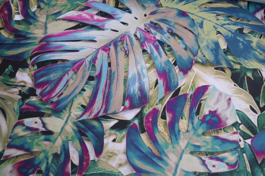 Монстера Сильвер Леаф