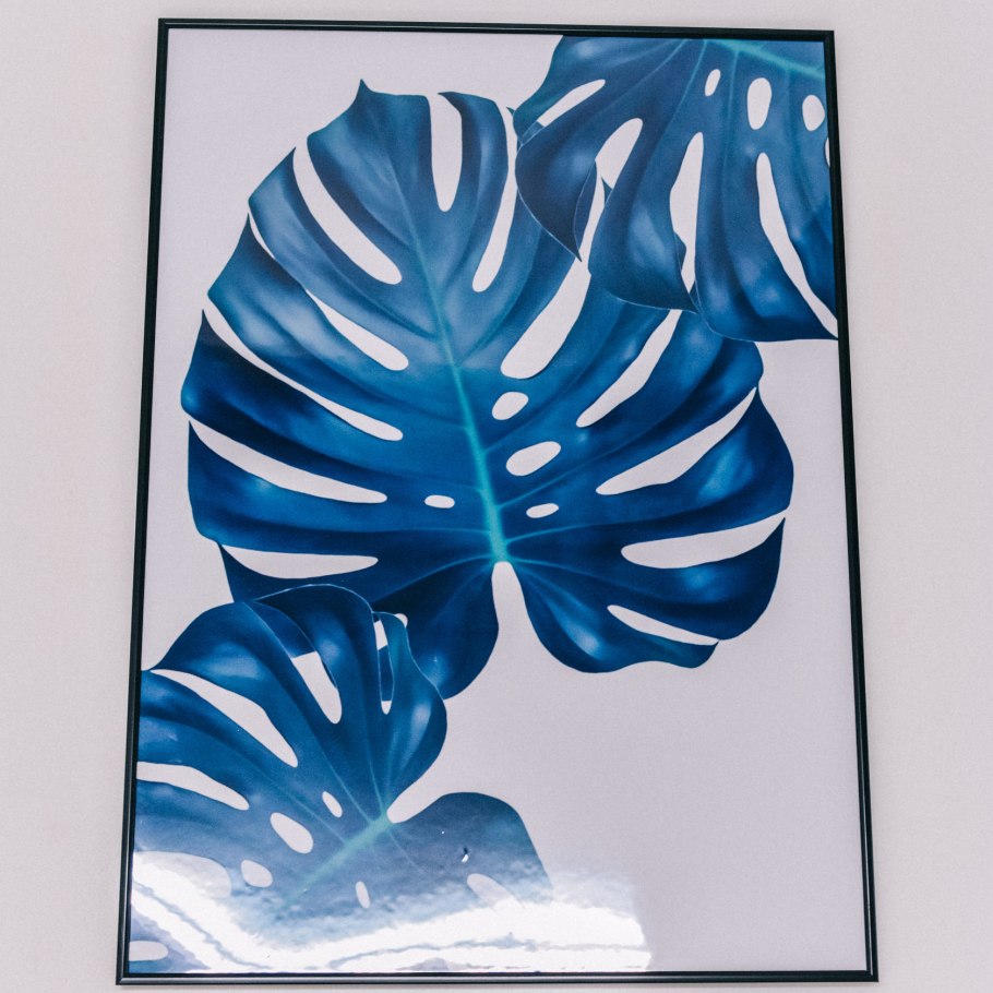 Постер Сканди Monstera