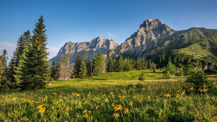 Альпийские Луга Австрии