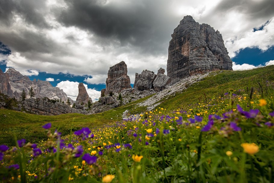 Альпы Италии Луга