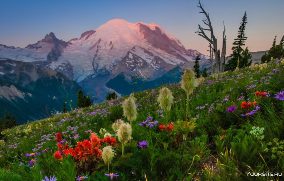 Национальный парк Маунт-Рейнир, штат Вашингтон