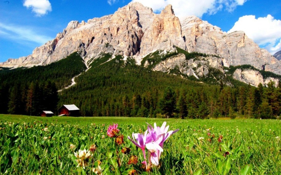 Альпийские Луга Австрии