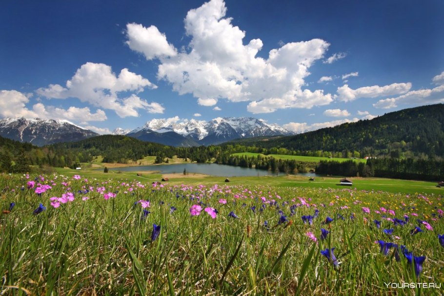 Альпийские Луга Швейцария Альпийские Луга Швейцария
