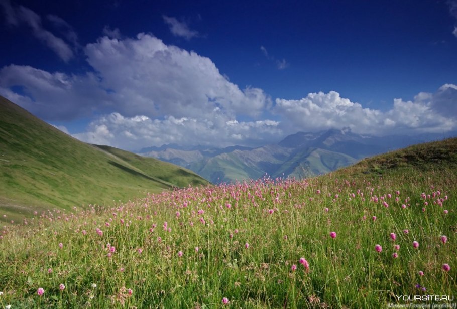 Альпийские Луга Гагра