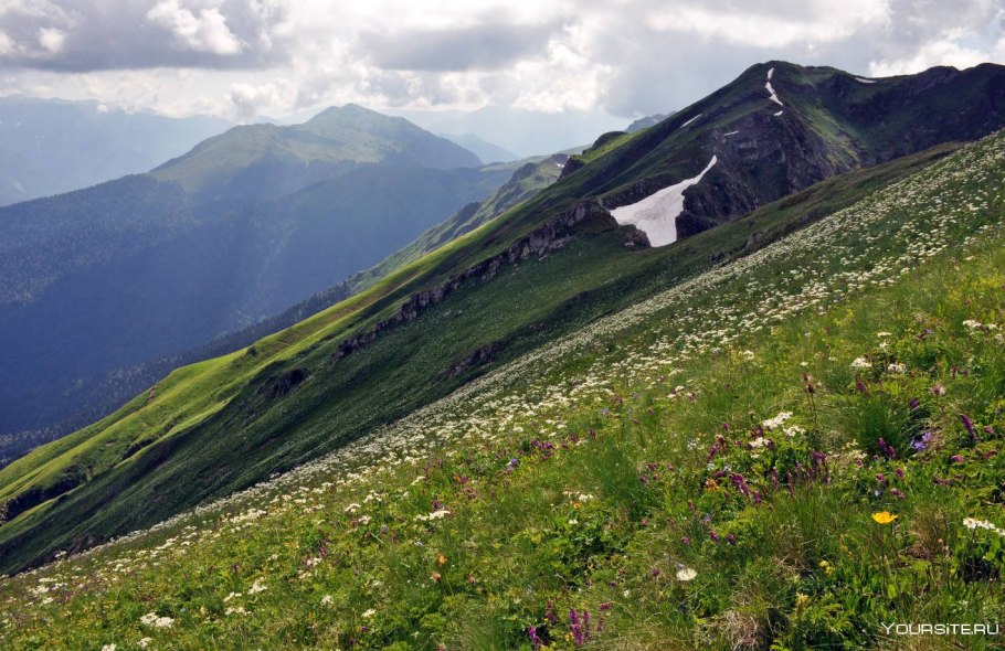 Альпийские Луга Абхазия