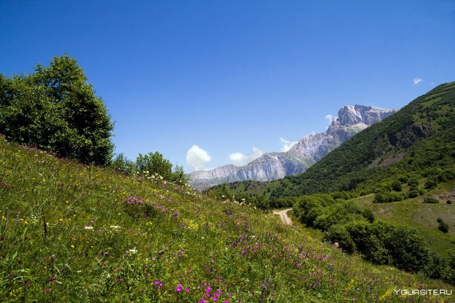 Субальпийские Луга Кавказа