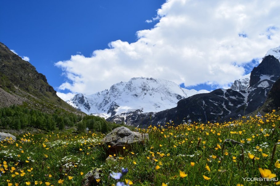 Приэльбрусье Альпийские Луга
