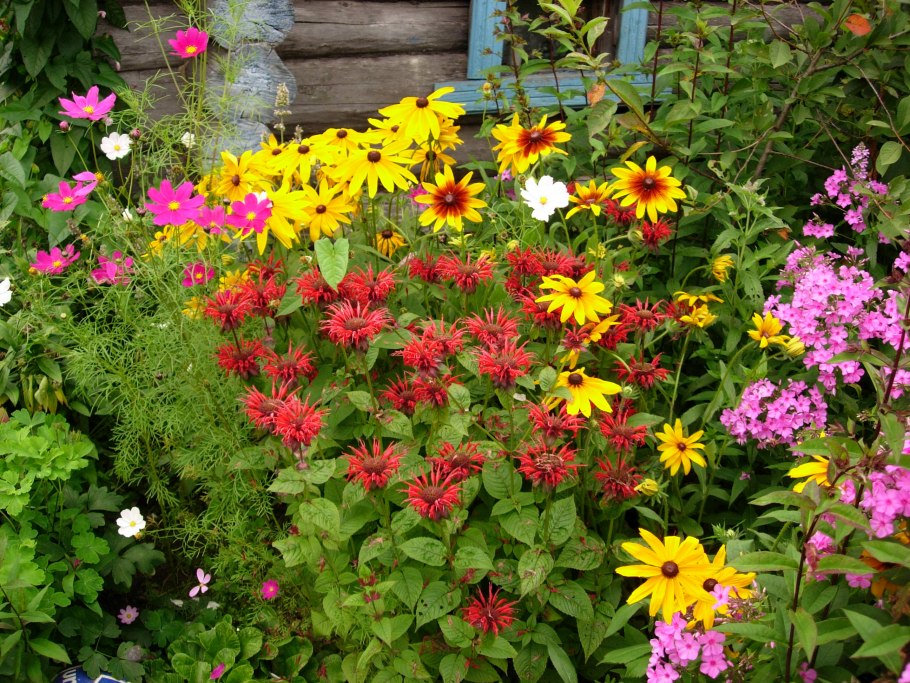 Обриета Каскад Блю