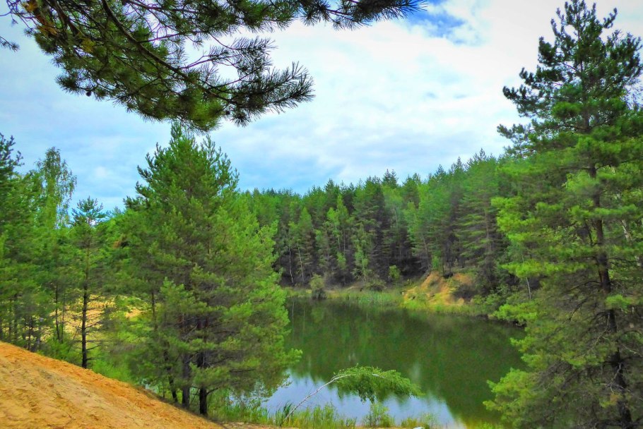 Тропинка в Сосновом Бору