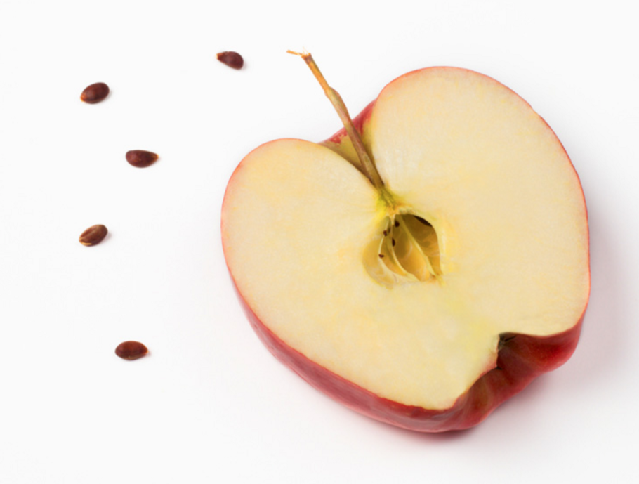 Яблоко в разрезе