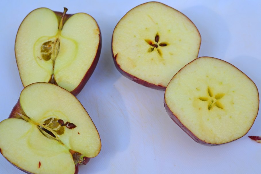 Плод яблока в разрезе