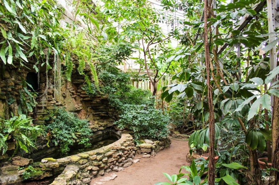 Ботанический сад Тропическая оранжерея