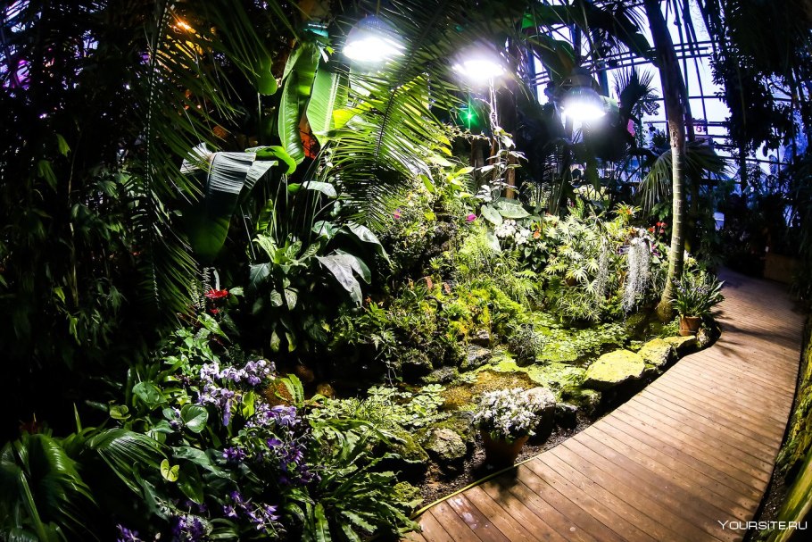 Ботанический сад МГУ Аптекарский огород оранжерея