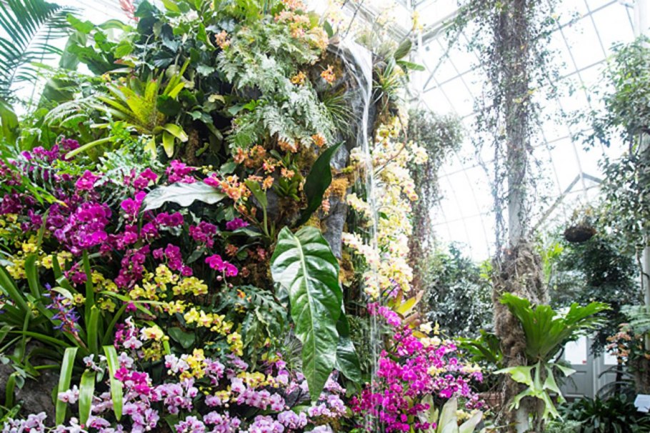 Монреальский Ботанический сад орхидей