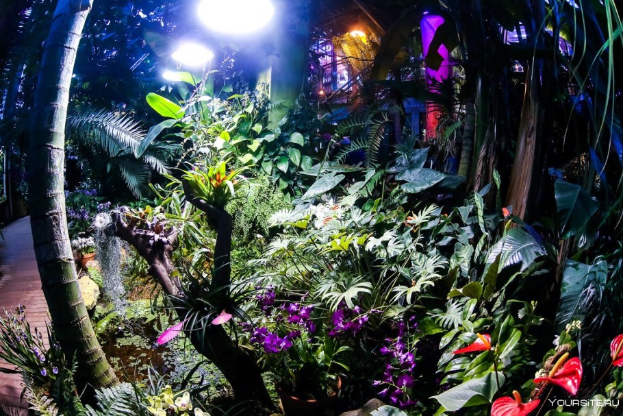 Оранжерея Аптекарского огорода в Москве