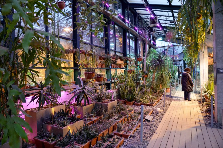 Москва Ботанический сад МГУ Аптекарский огород