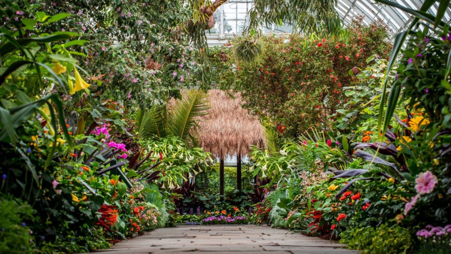 Бронкс Ботанический сад