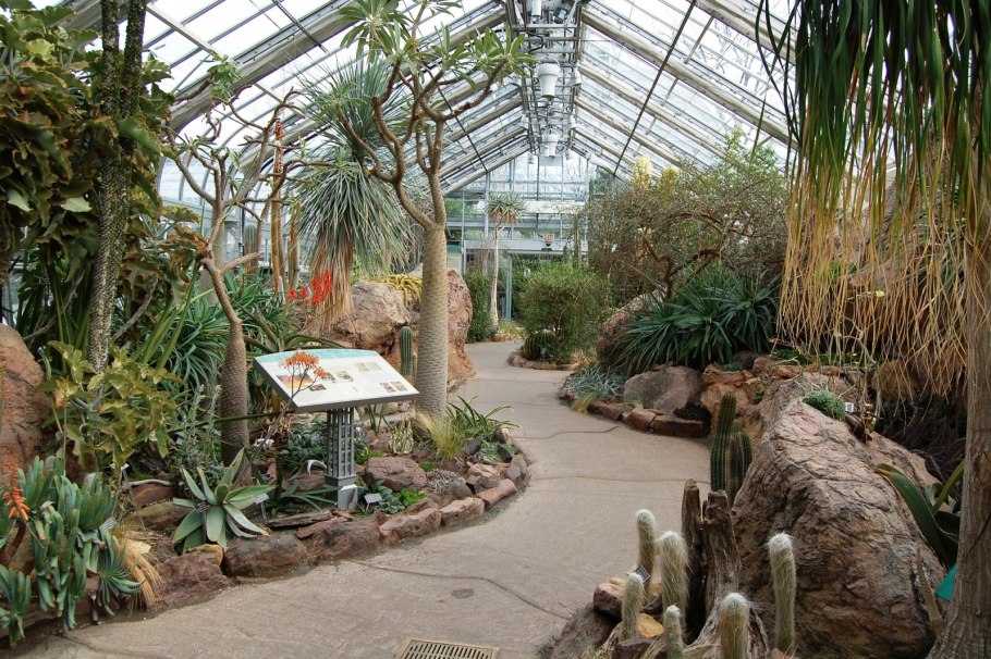 Викторная оранжерея ботанического сада