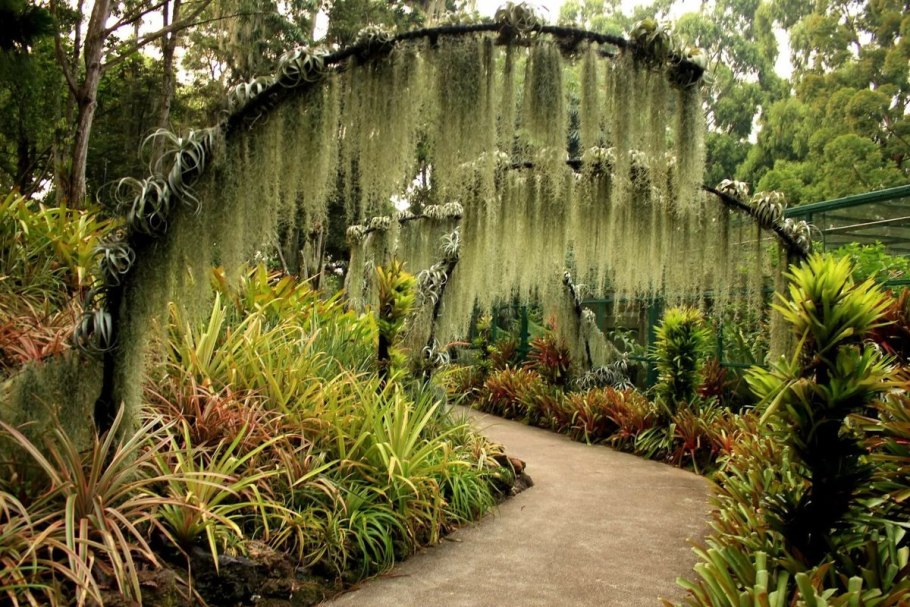 Сингапур Singapore Botanic Gardens