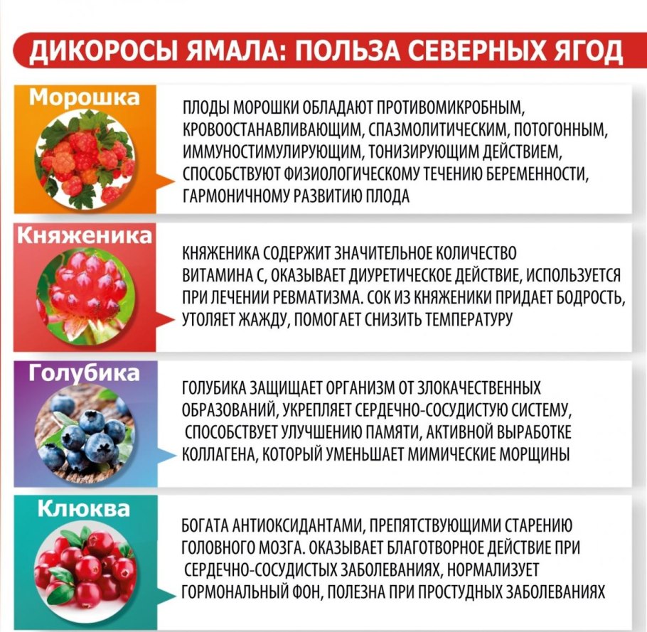 Польза ягод