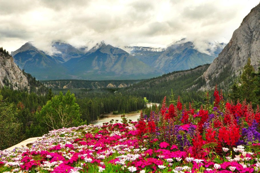 Флауэр монтейн