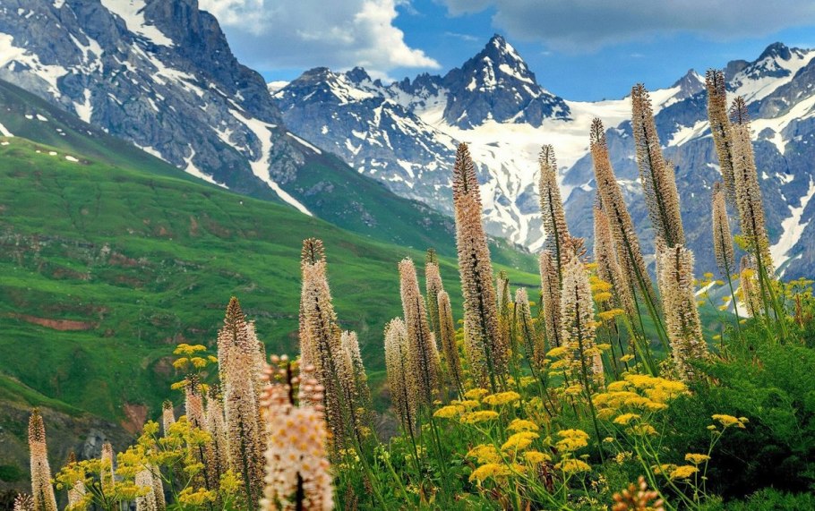 Природа Таджикистана Рамит