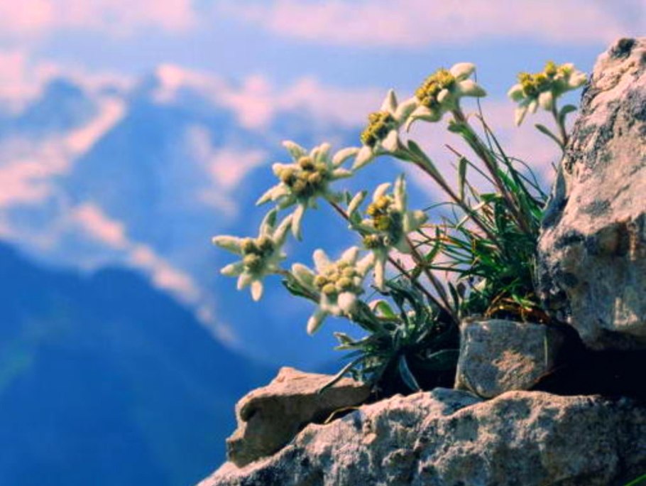 Национальный парк Югыд-ва Республика Коми