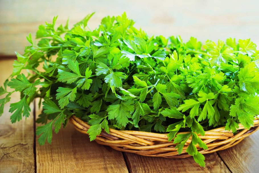 Петрушка parsley