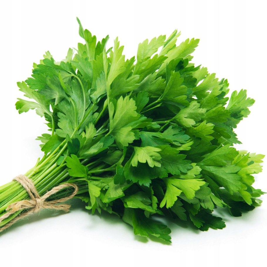 Petroselinum crispum