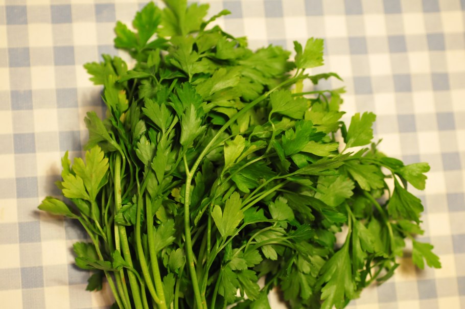 Петрушка (Petroselinum sativum)