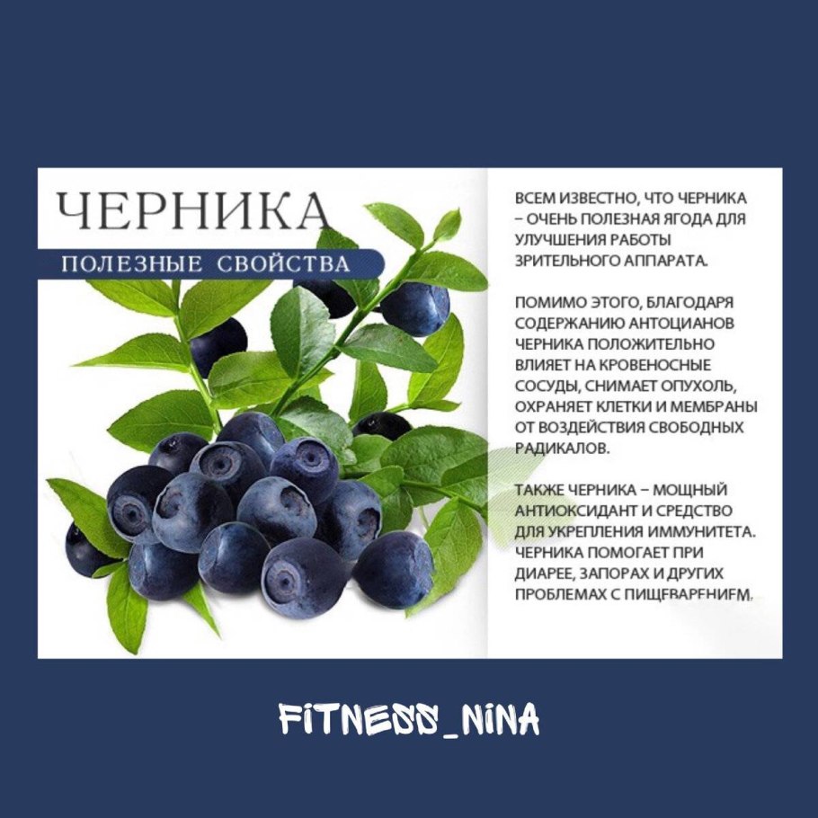 Черника полезные свойства