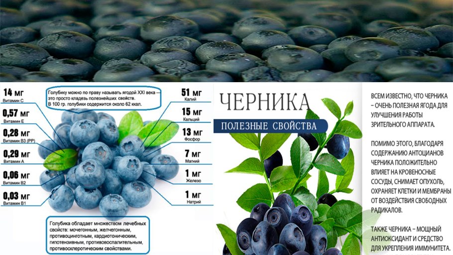 Голубика витамины