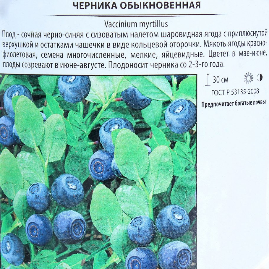 Леруа Мерлен черника