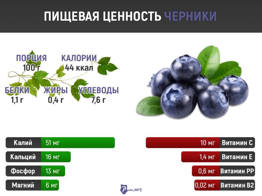 Черника БЖУ на 100 грамм