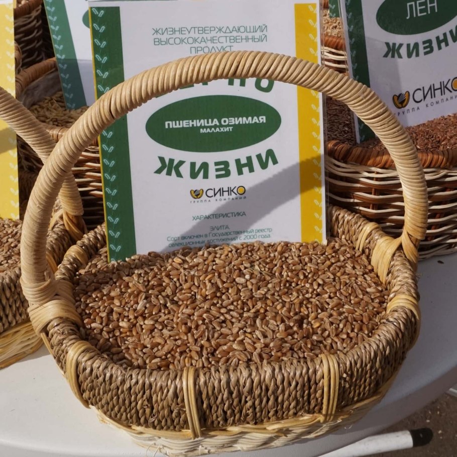 Колоски на столе