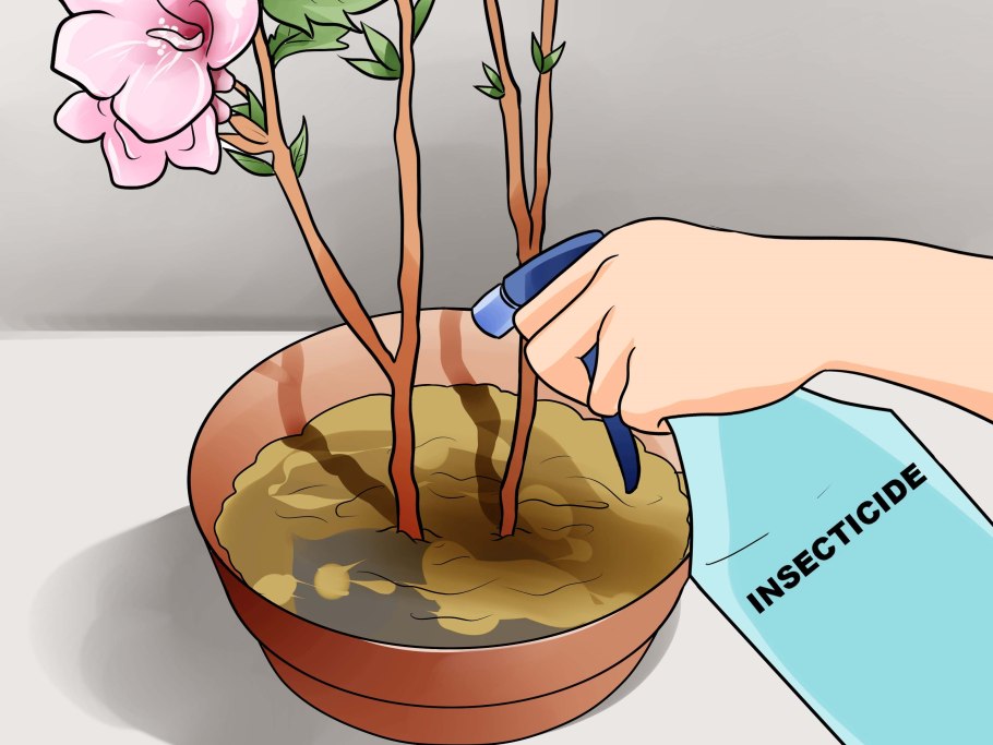 Срез розы для укоренения