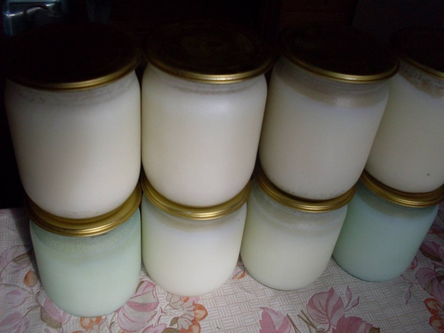 Продается барсучий жир