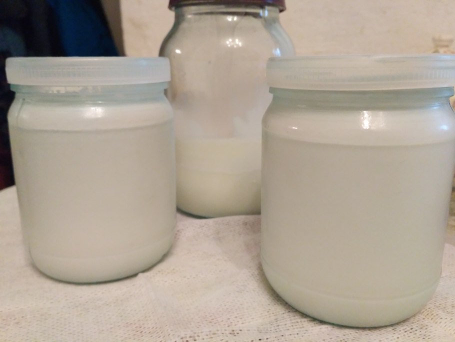 Медвежье сало