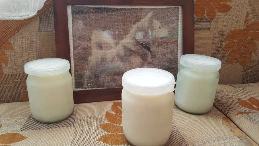 Медвежий жир