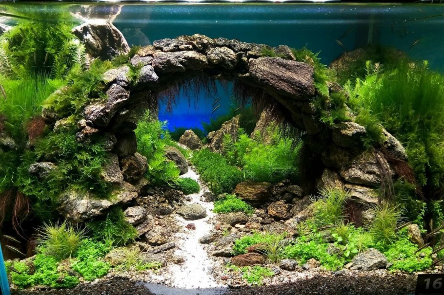 Акваскейп Атлантида