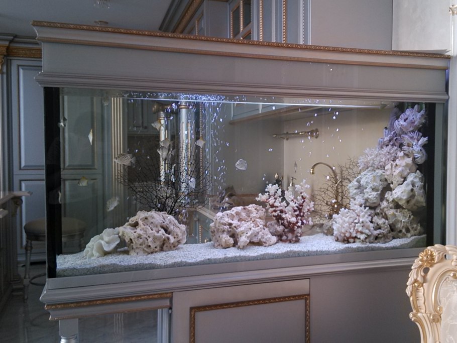 Дизайнерский аквариум