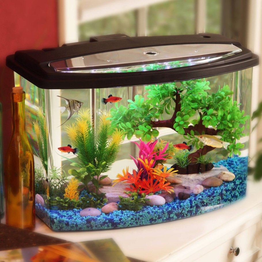 Аквариум (Fish Tank) 2009