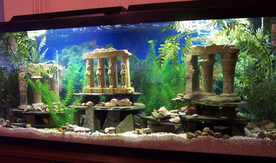 Оформление аквариума