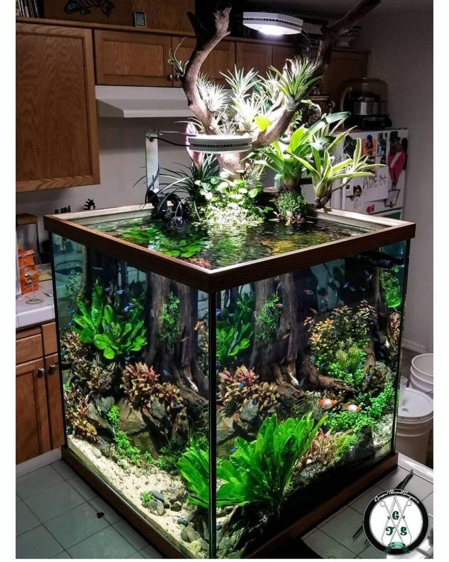 Красивые аквариумы