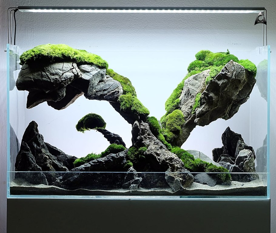 Ивагуми сад камней