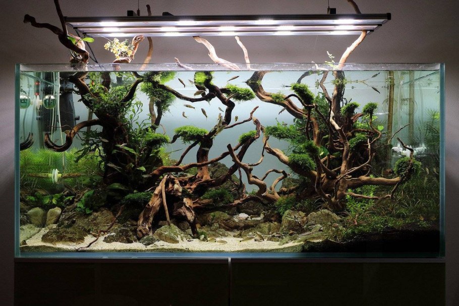 Акваскейп 300