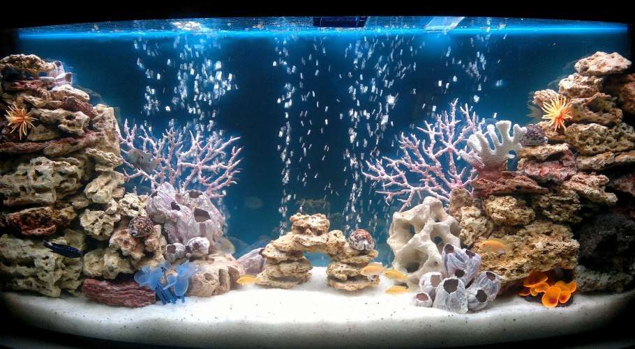 Аквариум в стиле псевдоморе